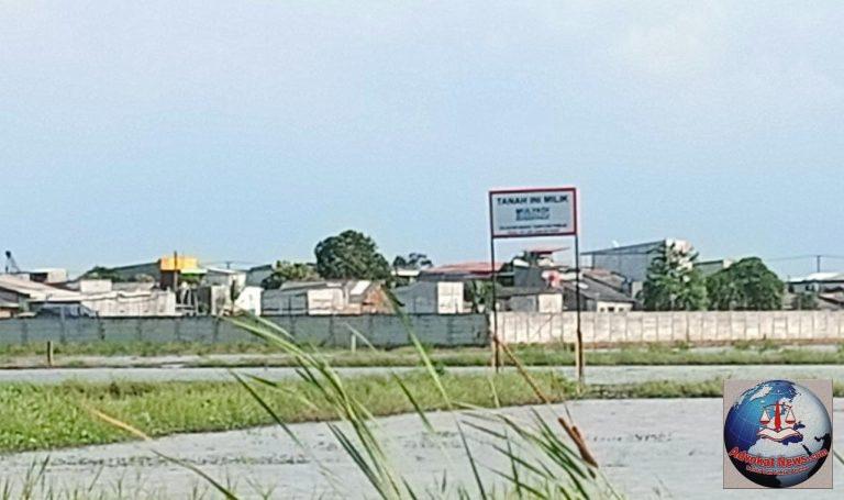 Saling Klaim, Girik vs SHM di Pantai Makmur Terus Bergulir