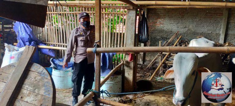 Antisipasi PMK, Bhabinkamtibmas Polsek Bungursari Cek Kandang Hewan Peternak di Kampung Tangguh