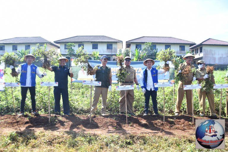 DPD KNPI Kabupaten Sukabumi Panen Perdana Kacang Lurik, dihadiri oleh Bupati dan Dinas Pertanian