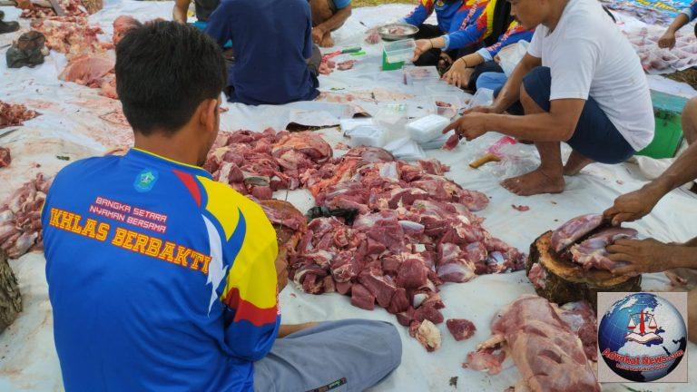 Karang Taruna Kabupaten Bangka Lakukan Pemotongan Hewan Kurban