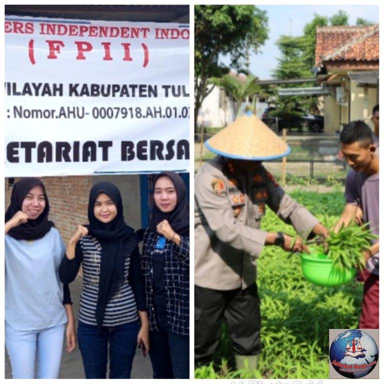 Berhasil Panen Raya dari Pemampaatan Lahan Kosong, Kapolres Tuba “Hujra Soumena” Diapresiasi Ketua FPII Tuba “Herpina”