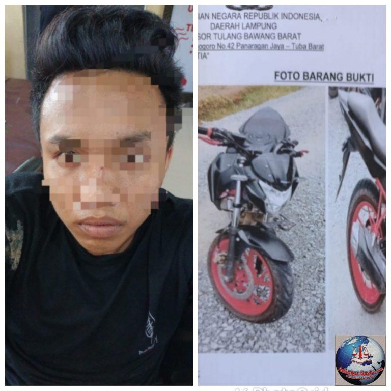 Mau Kabur Door ! Polres Tubaba Lampung Tangkap Pelaku Curat di Wilayah Hukumnya