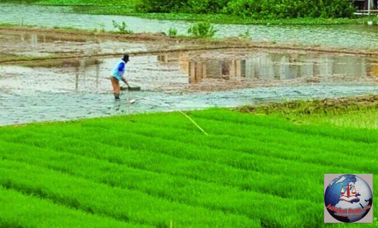DCKTR Kabupaten Bekasi Data Lahan Sawah yang Dilindungi