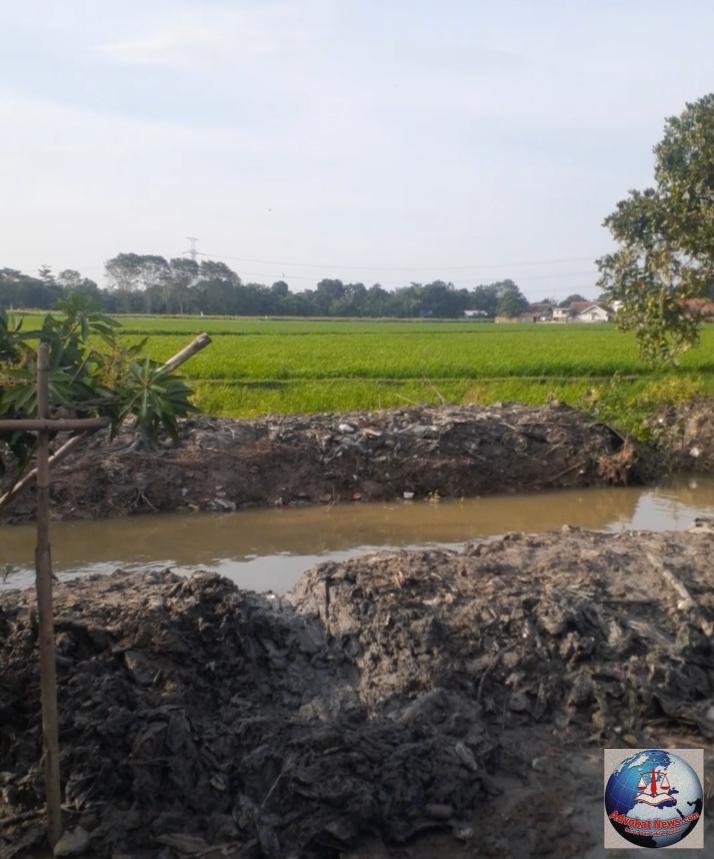Hasil Kelarifikasi:Permohonan Petani Normalisasi Saluran Air Urgent Dirapihkan Sebelum Musim Tanam Guna Air Lancar Sawah Menjadi Subur