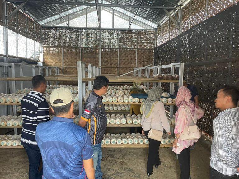 Yuk Intip Apa Saja Pembinaan Kemandirian Warga Binaan Pemasyarakatan Lapas Gunung Sugih