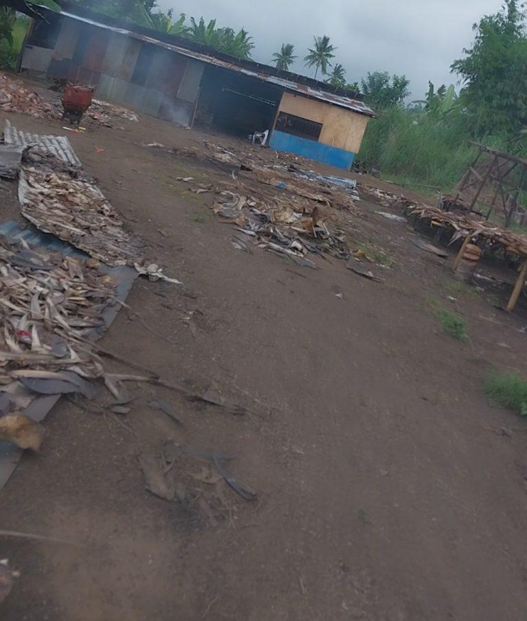 Warga Sagerat Atas Meminta DLH dan DINKES Kota Bitung Evakuasi Pengelolaan Ikan Fismil Milik Ati
