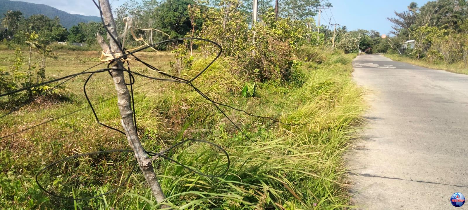 Amburadul Kabel Internet WiFi di Kecamatan Sumur Makan Korban