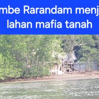 IMG-20250731-WA0093
