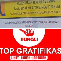 Oplus_16908288
